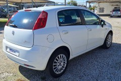 g.punto-dt-09-mirella-auto-7